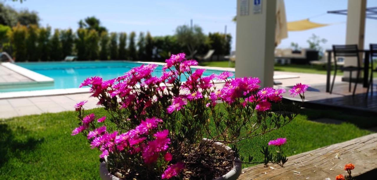 Etna Bike Holiday ซัฟเฟรานา เอตเนอา ภายนอก รูปภาพ