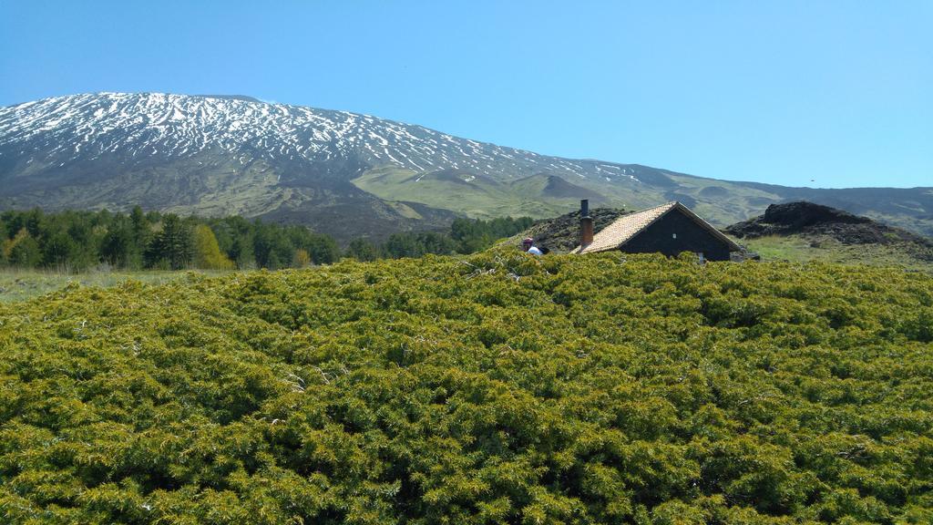 Etna Bike Holiday ซัฟเฟรานา เอตเนอา ภายนอก รูปภาพ