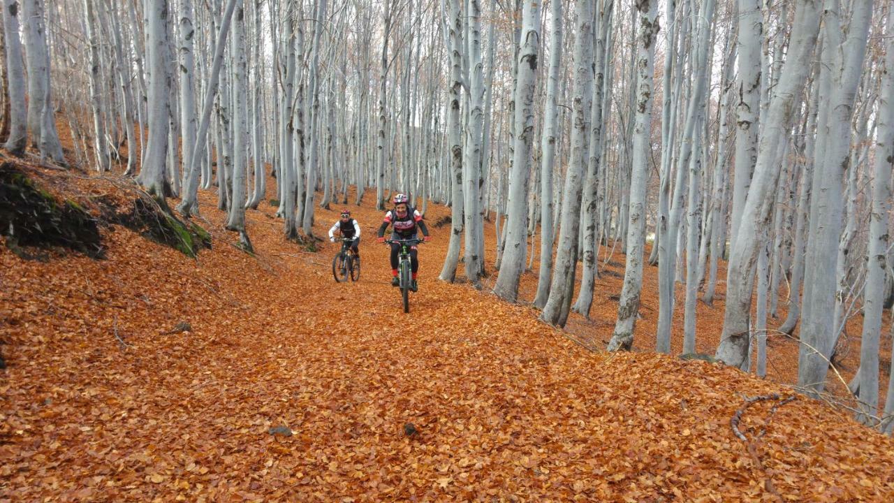 Etna Bike Holiday ซัฟเฟรานา เอตเนอา ภายนอก รูปภาพ
