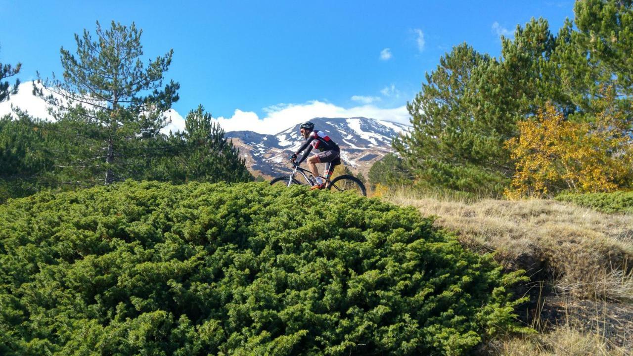 Etna Bike Holiday ซัฟเฟรานา เอตเนอา ภายนอก รูปภาพ